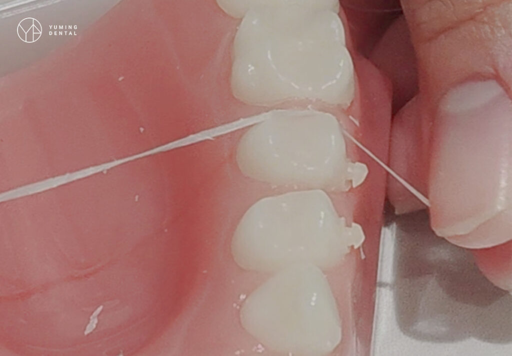 牙線使用示意圖